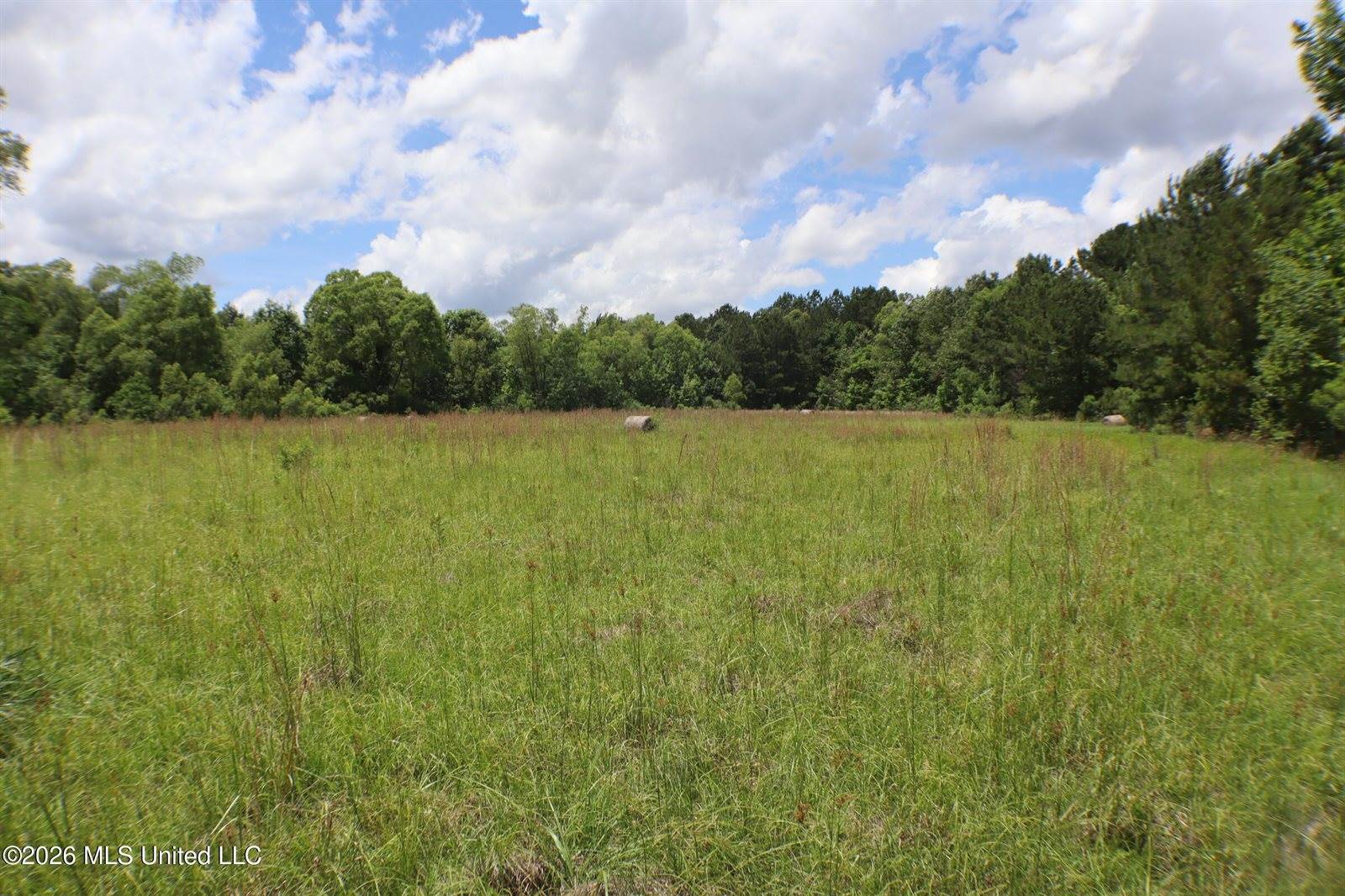 Vine Drive, Brandon, MS 39047