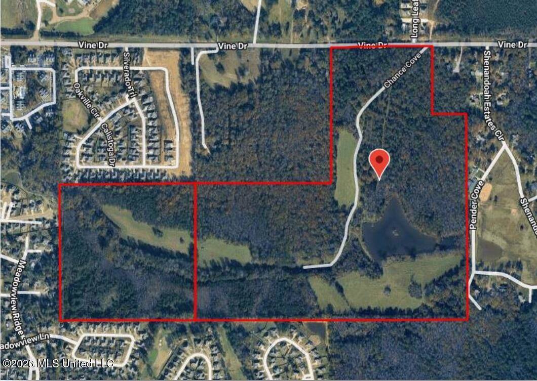 Vine Drive, Brandon, MS 39047