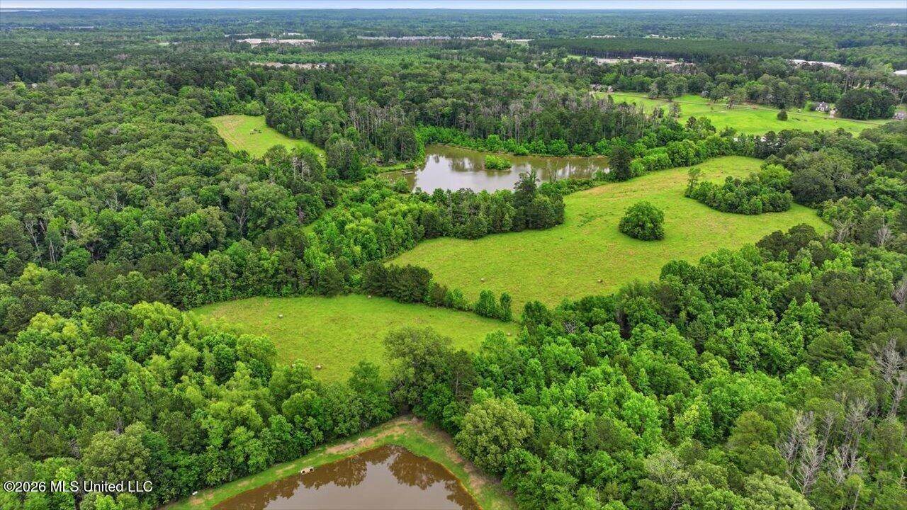 Vine Drive, Brandon, MS 39047