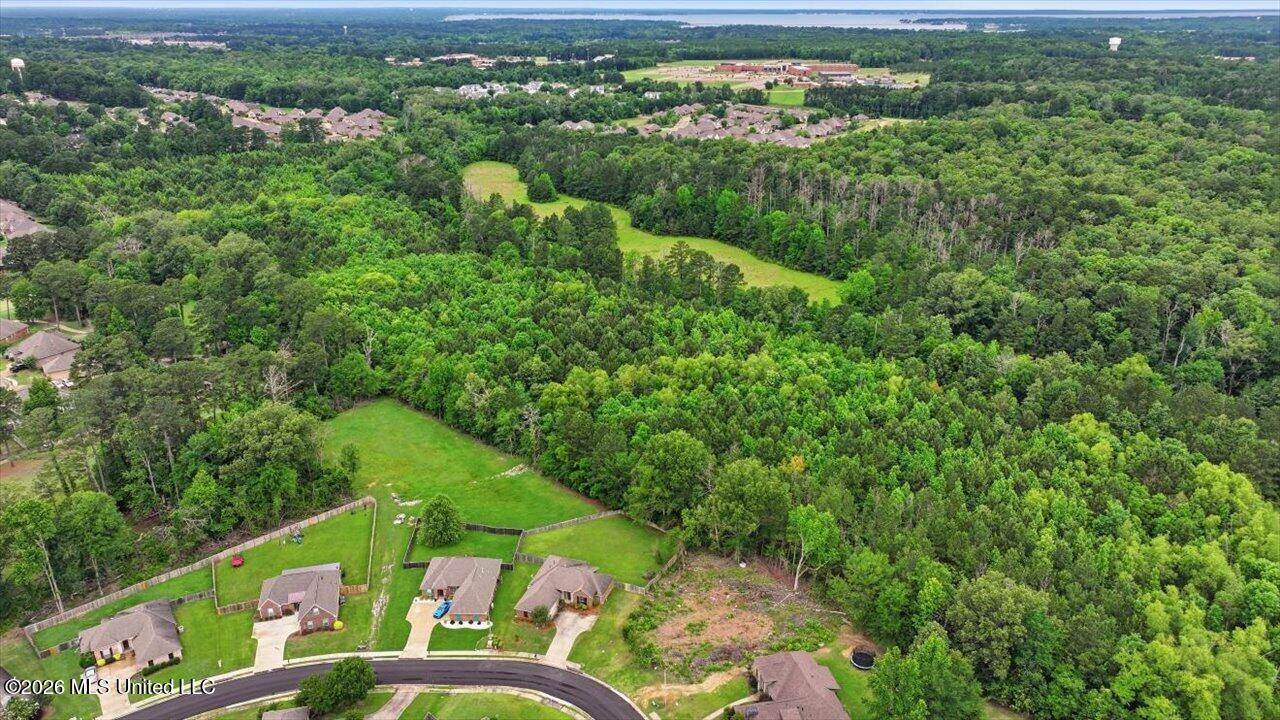 Vine Drive, Brandon, MS 39047