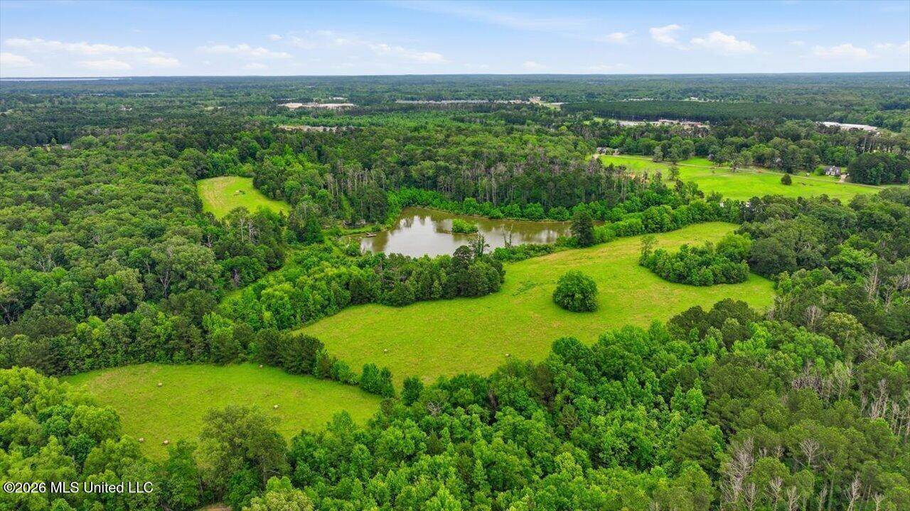 Vine Drive, Brandon, MS 39047