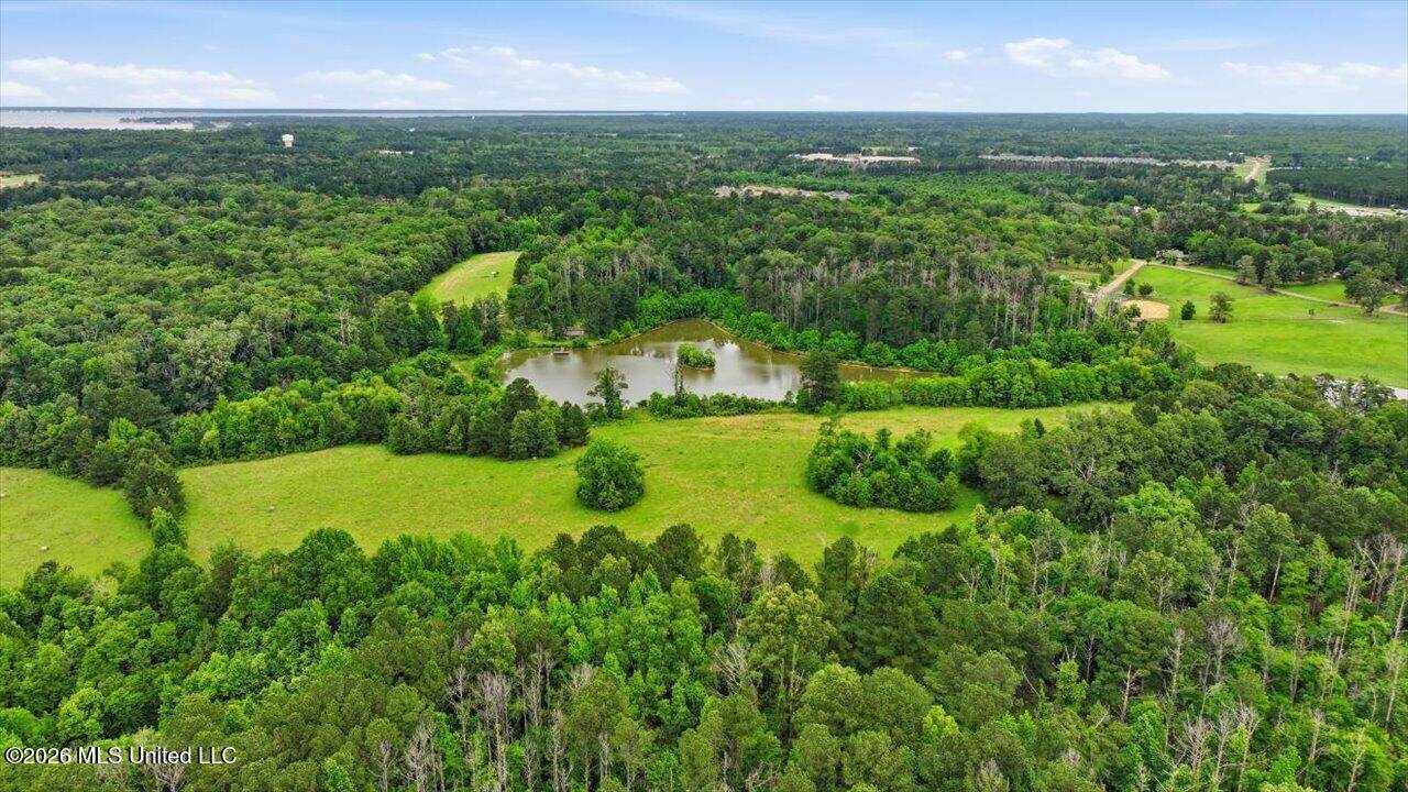 Vine Drive, Brandon, MS 39047