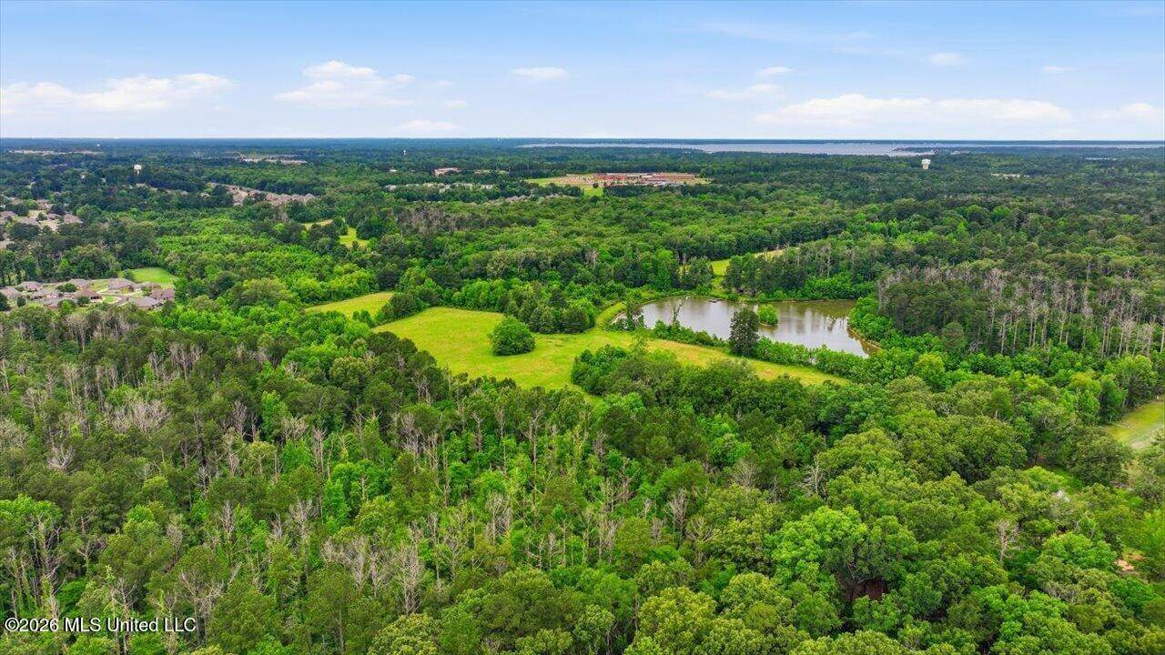 Vine Drive, Brandon, MS 39047