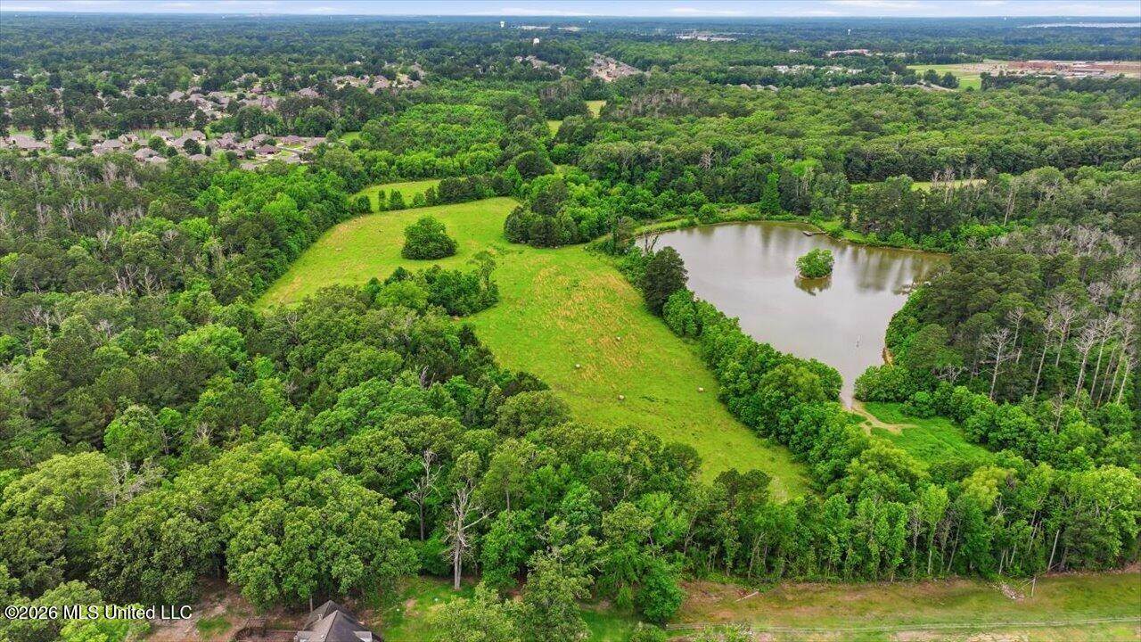 Vine Drive, Brandon, MS 39047