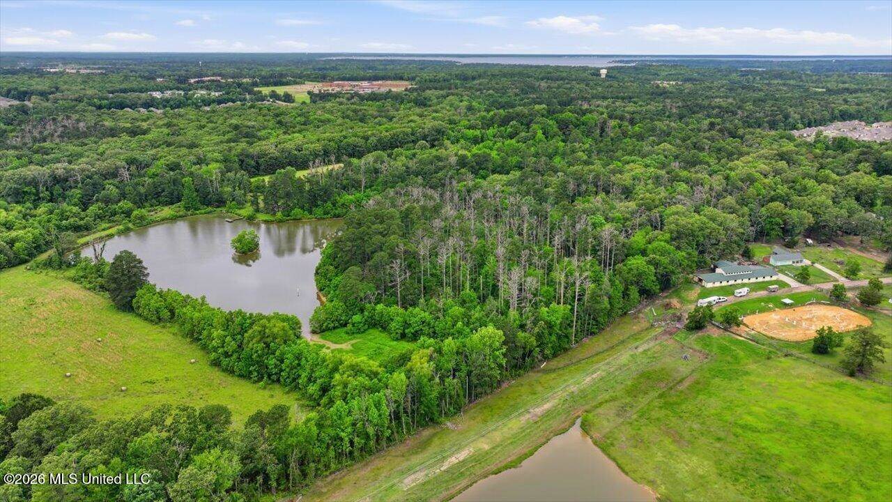 Vine Drive, Brandon, MS 39047