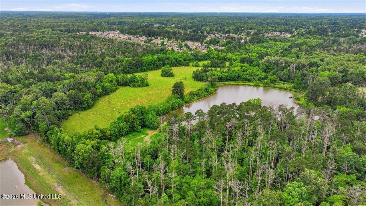 Vine Drive, Brandon, MS 39047