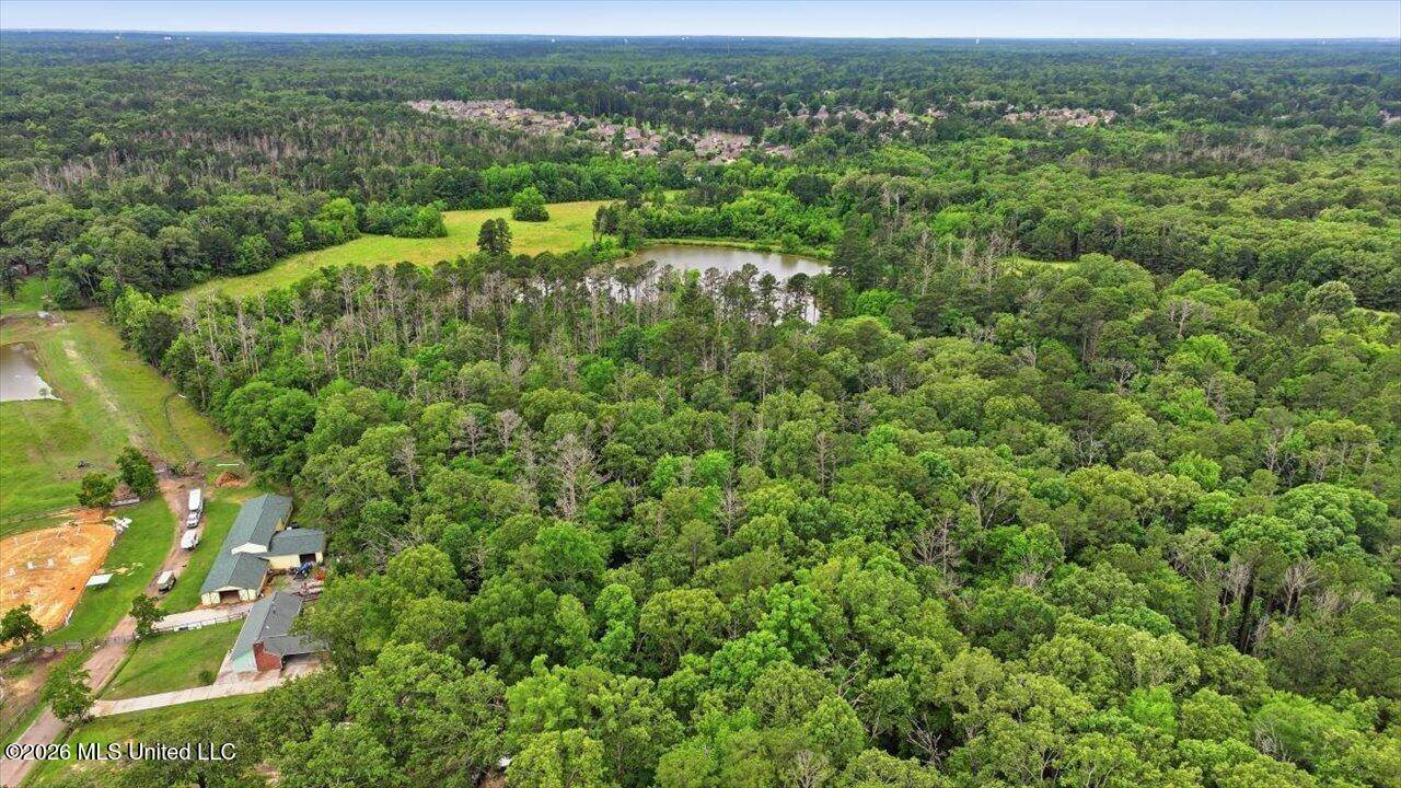 Vine Drive, Brandon, MS 39047