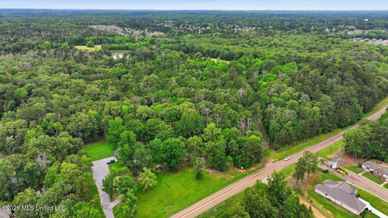 Vine Drive, Brandon, MS 39047