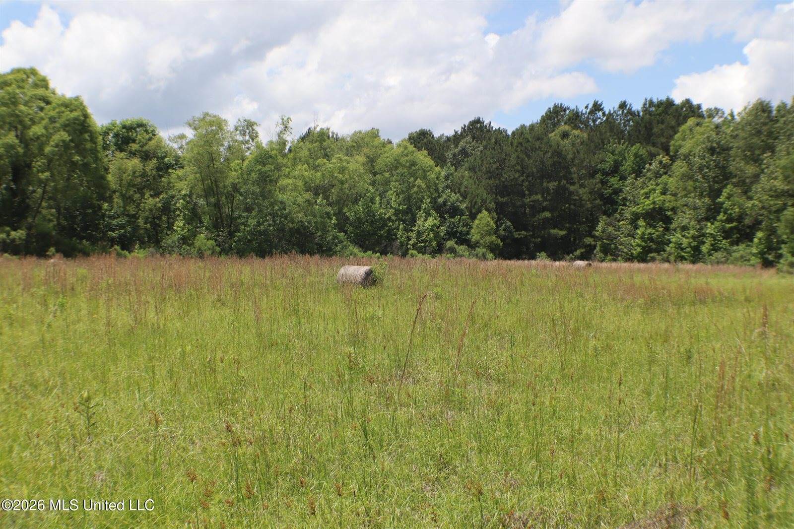 Vine Drive, Brandon, MS 39047