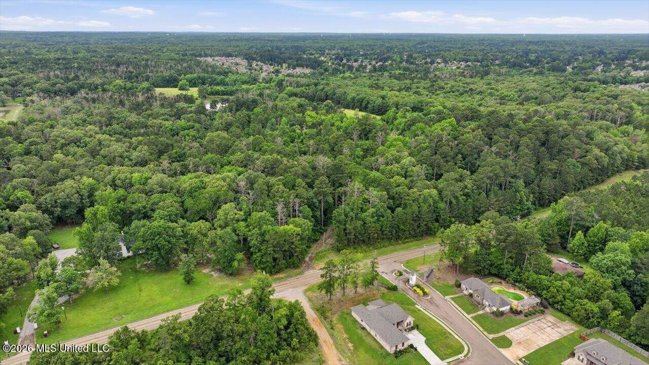 Vine Drive, Brandon, MS 39047