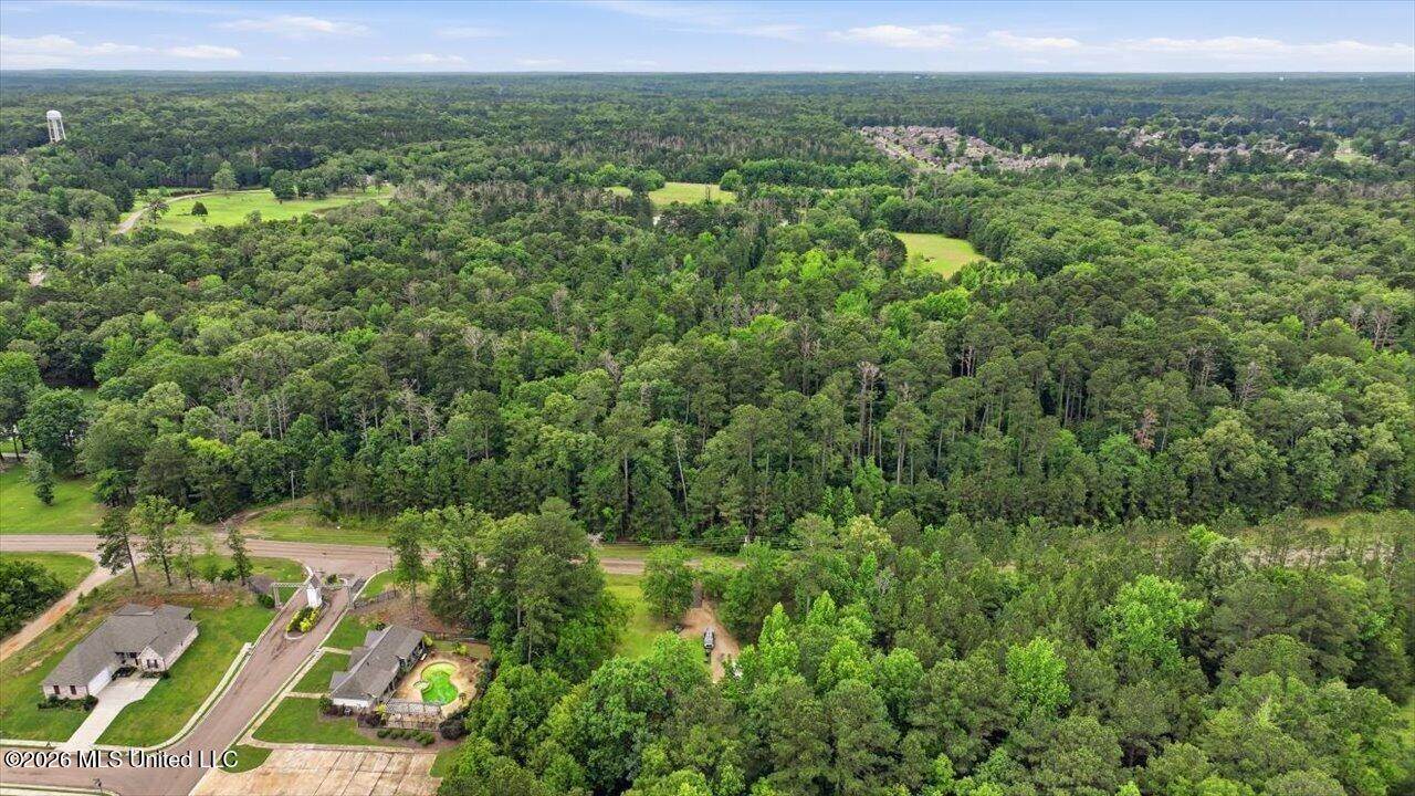 Vine Drive, Brandon, MS 39047