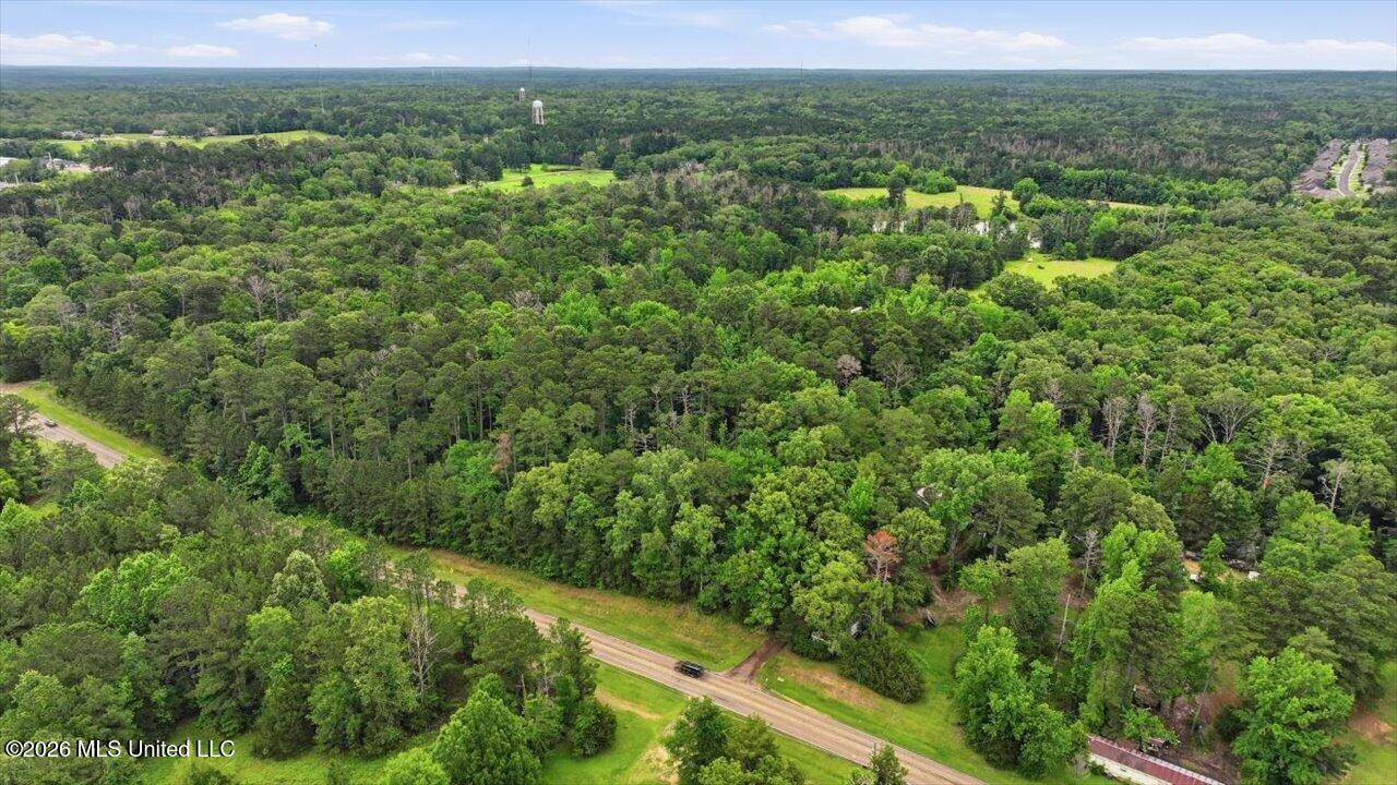 Vine Drive, Brandon, MS 39047