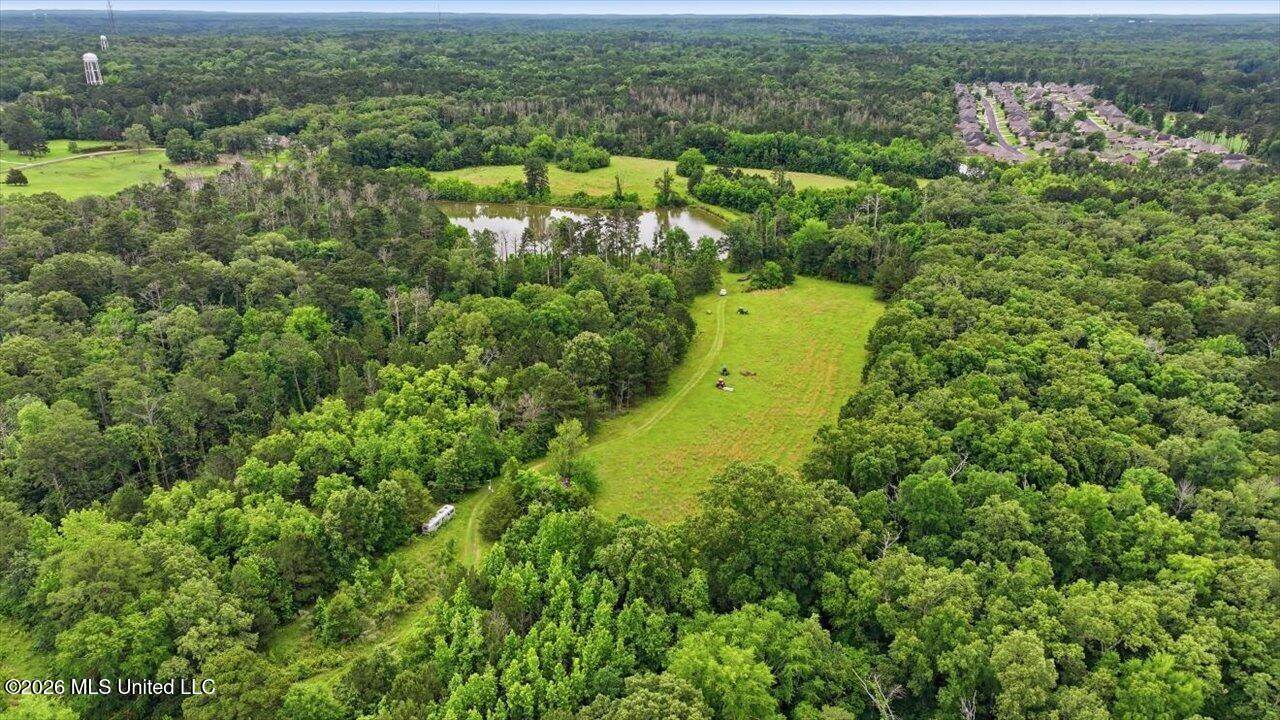 Vine Drive, Brandon, MS 39047