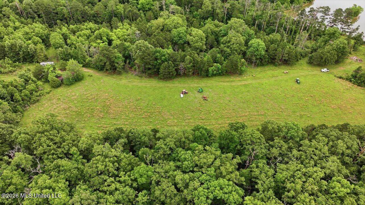Vine Drive, Brandon, MS 39047
