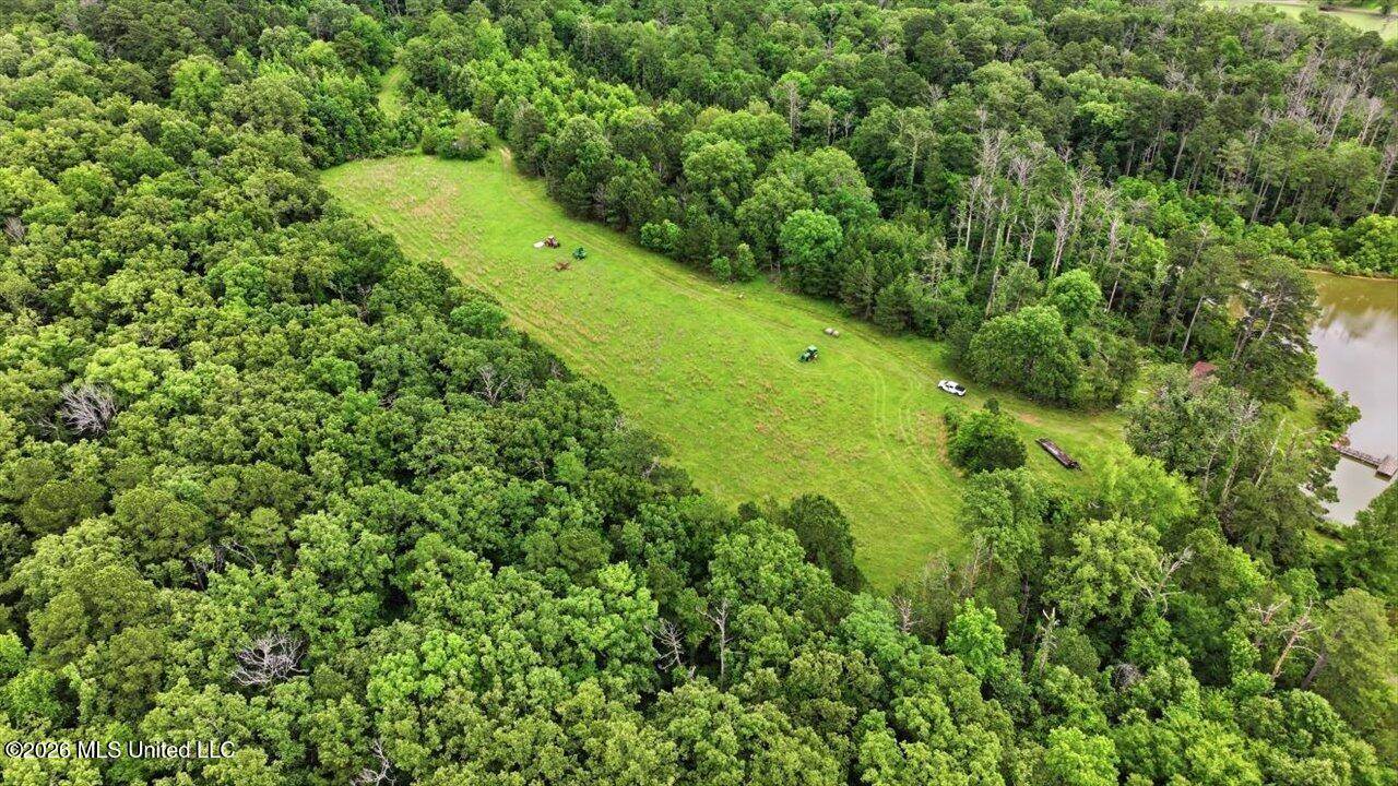 Vine Drive, Brandon, MS 39047