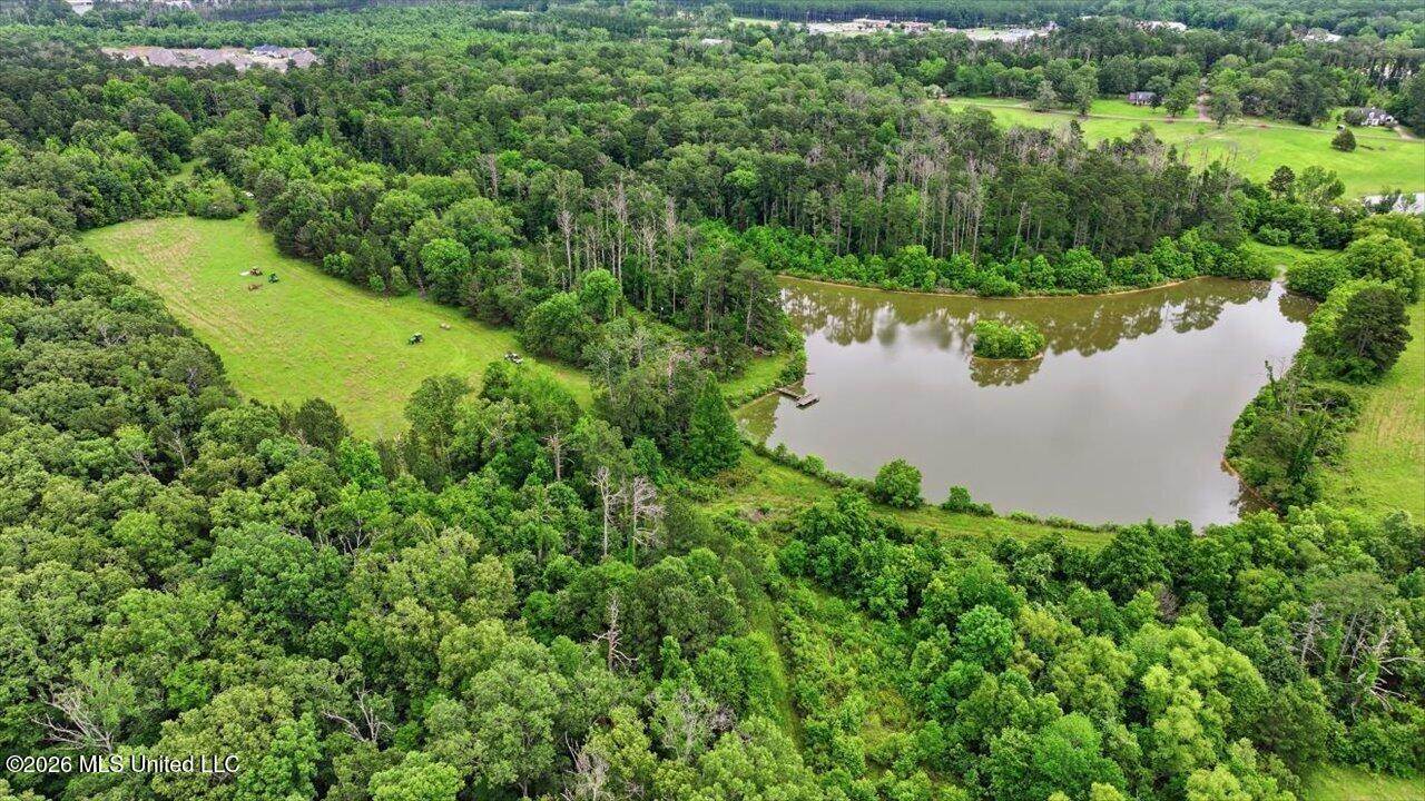 Vine Drive, Brandon, MS 39047