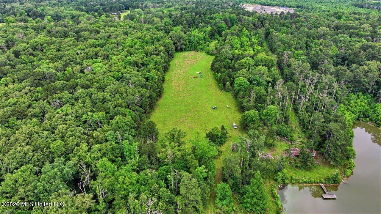 Vine Drive, Brandon, MS 39047