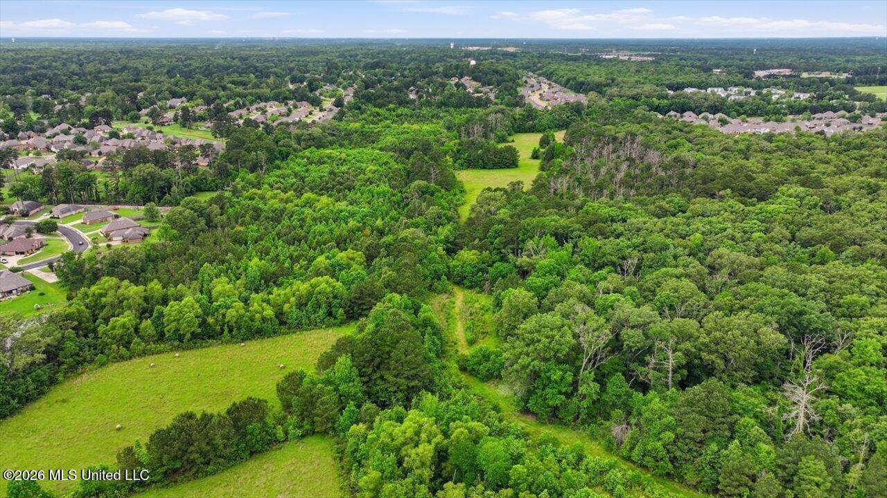 Vine Drive, Brandon, MS 39047