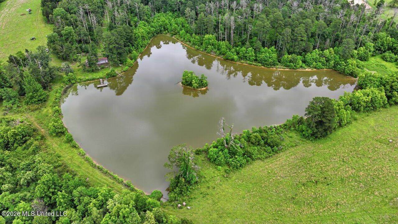Vine Drive, Brandon, MS 39047
