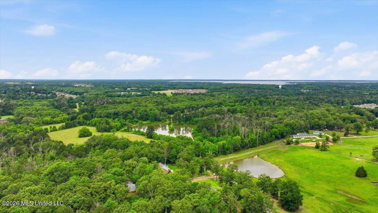 Vine Drive, Brandon, MS 39047
