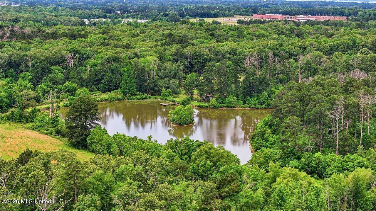 Vine Drive, Brandon, MS 39047