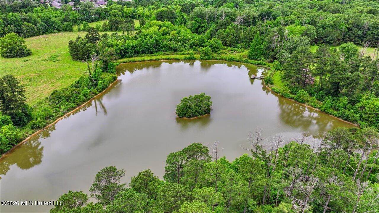 Vine Drive, Brandon, MS 39047