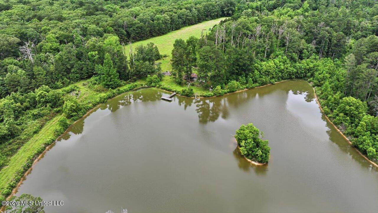 Vine Drive, Brandon, MS 39047