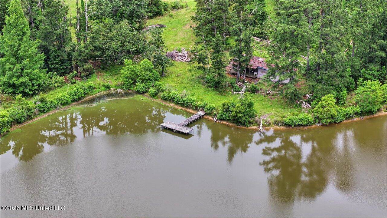 Vine Drive, Brandon, MS 39047