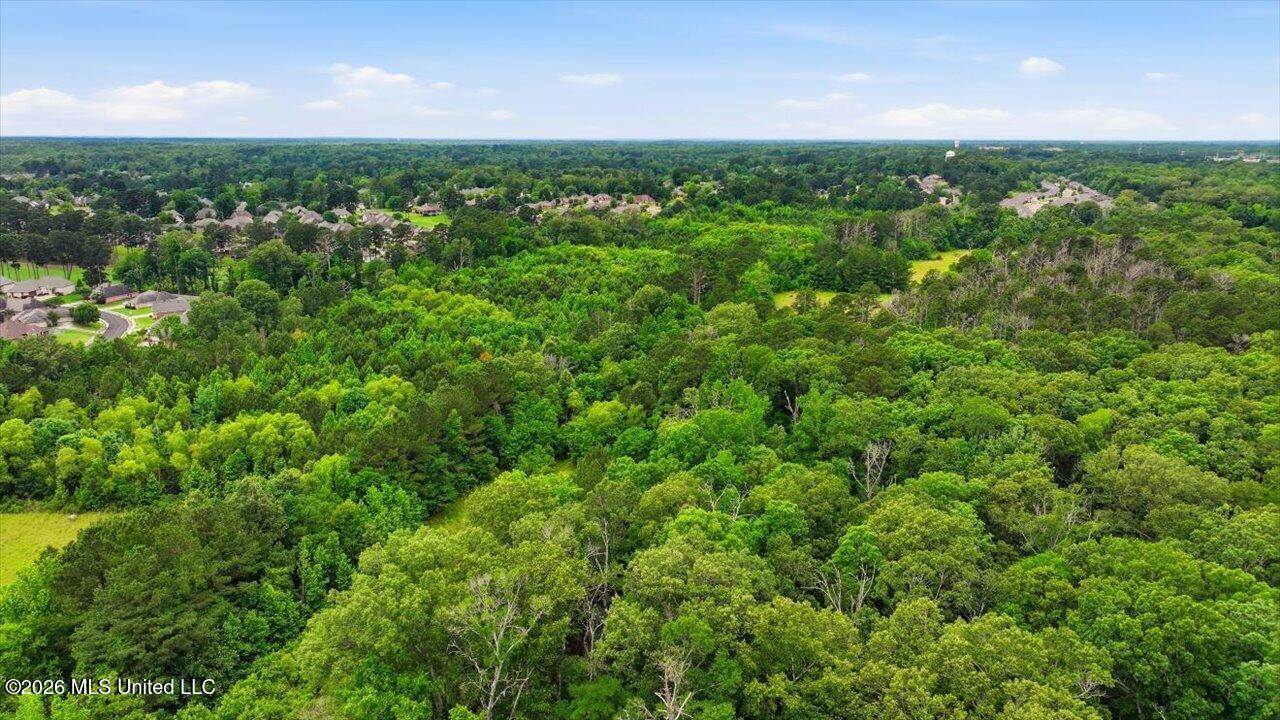 Vine Drive, Brandon, MS 39047