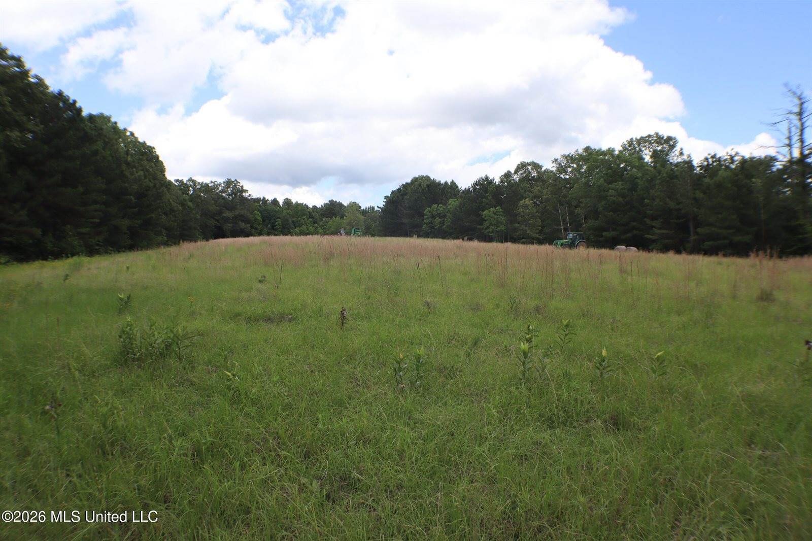 Vine Drive, Brandon, MS 39047