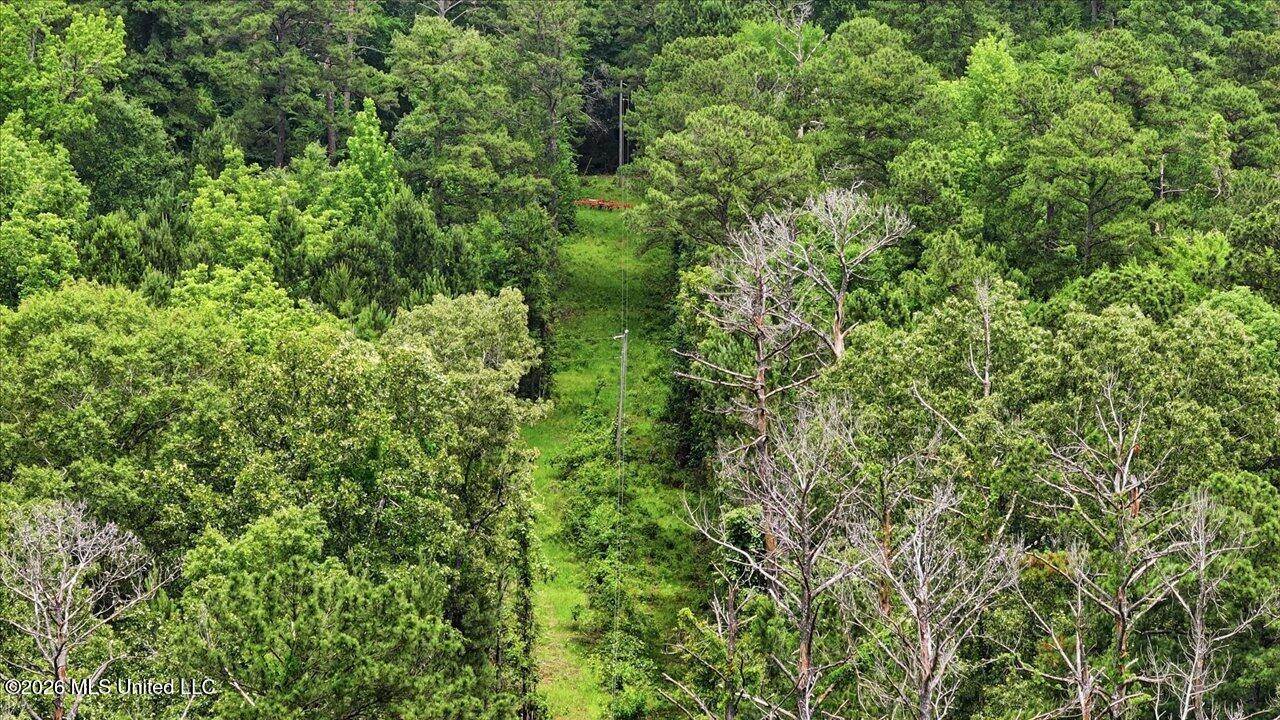 Vine Drive, Brandon, MS 39047
