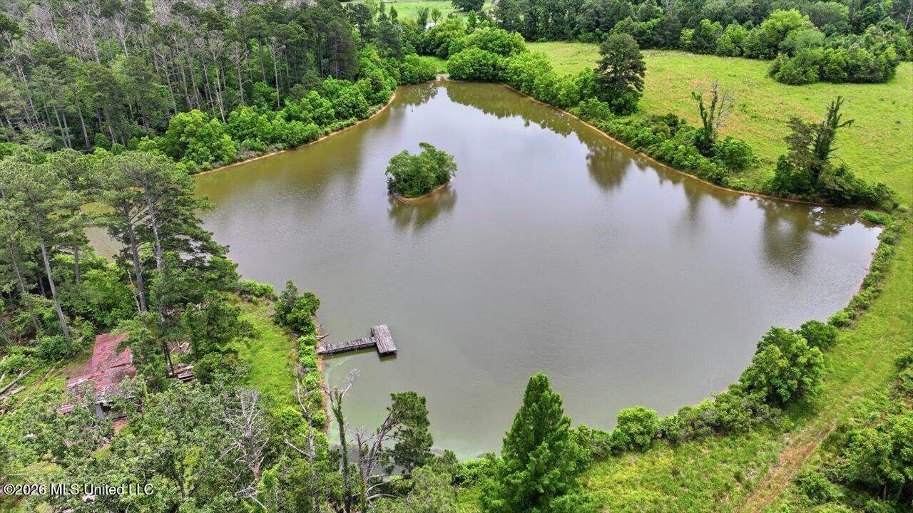 Vine Drive, Brandon, MS 39047