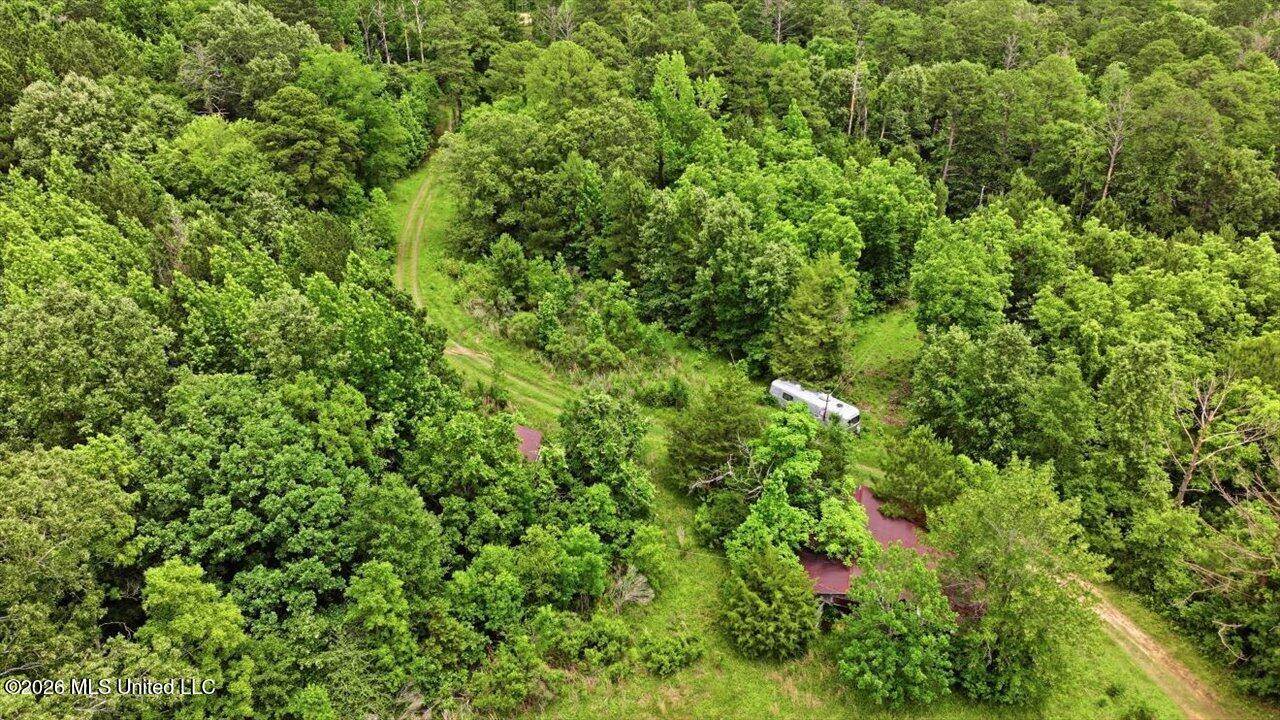 Vine Drive, Brandon, MS 39047