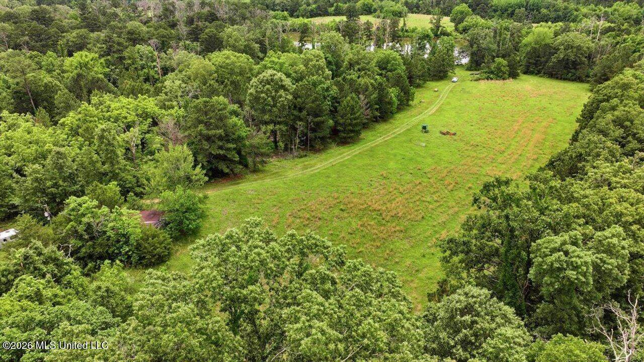 Vine Drive, Brandon, MS 39047