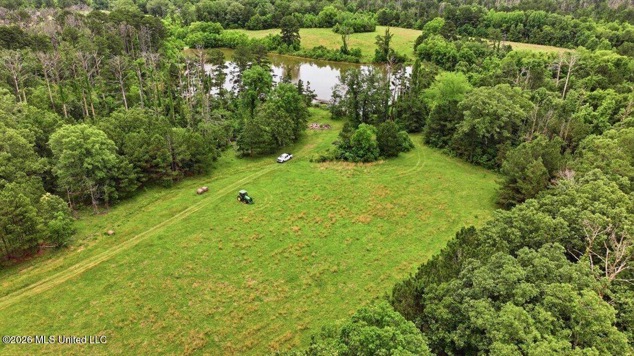 Vine Drive, Brandon, MS 39047