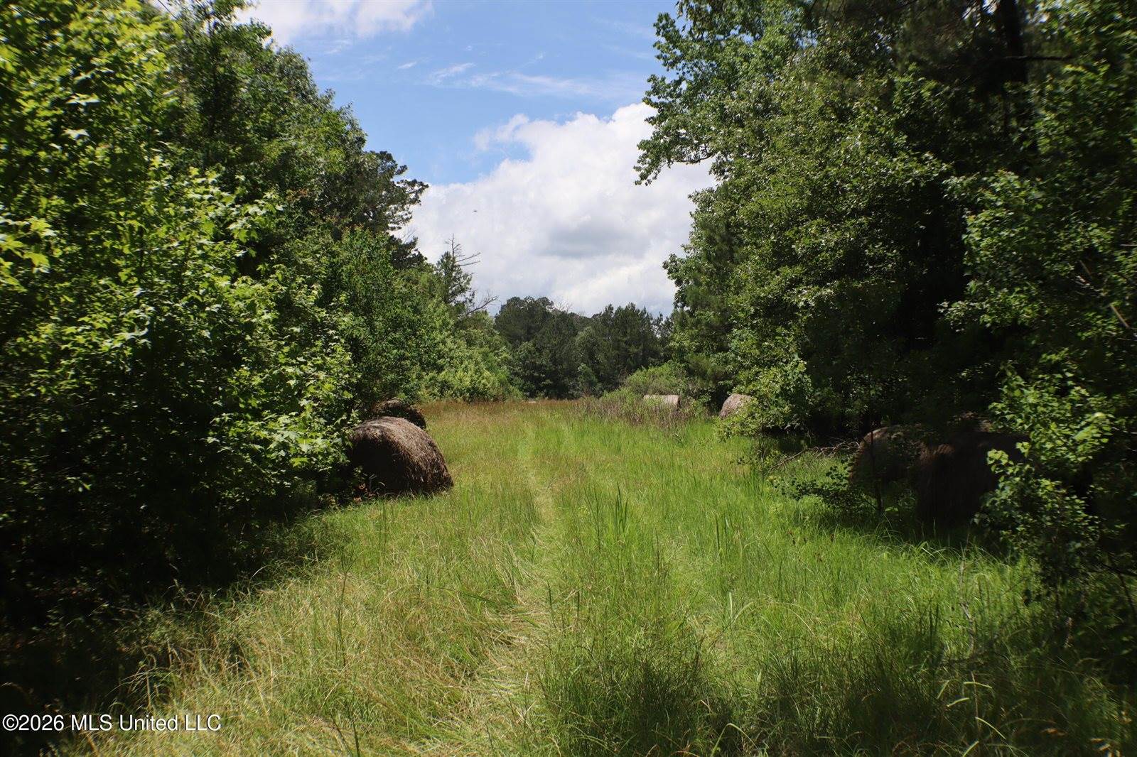 Vine Drive, Brandon, MS 39047