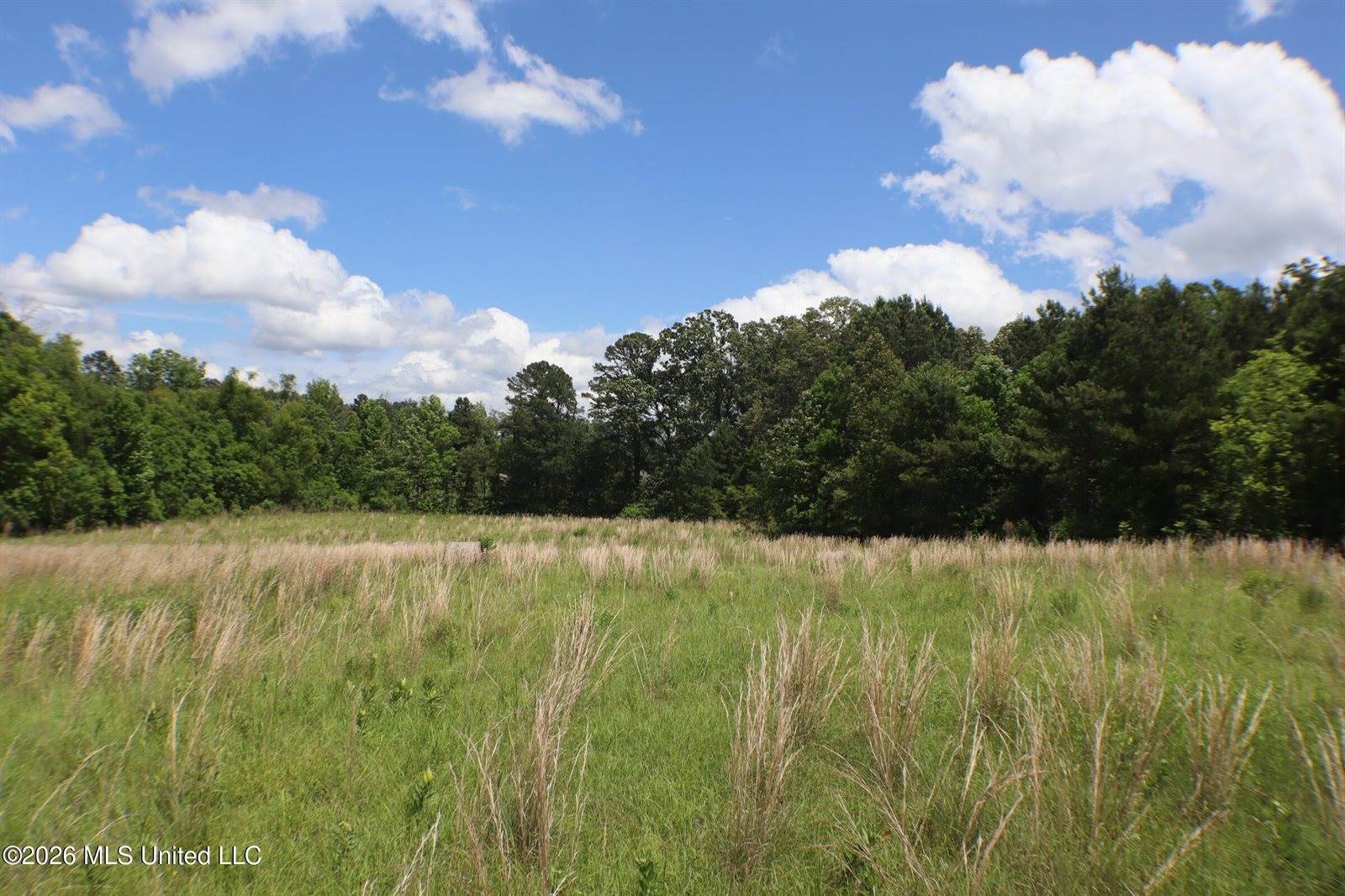 Vine Drive, Brandon, MS 39047