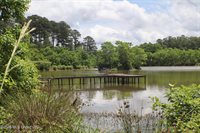 Vine Drive, Brandon, MS 39047