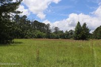 Vine Drive, Brandon, MS 39047