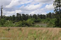 Vine Drive, Brandon, MS 39047