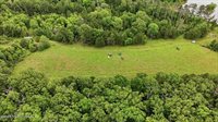 Vine Drive, Brandon, MS 39047