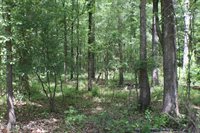 Vine Drive, Brandon, MS 39047