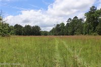 Vine Drive, Brandon, MS 39047