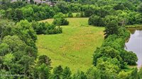 Vine Drive, Brandon, MS 39047