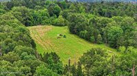 Vine Drive, Brandon, MS 39047