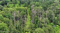 Vine Drive, Brandon, MS 39047