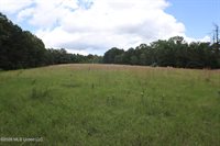 Vine Drive, Brandon, MS 39047