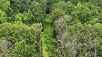 Vine Drive, Brandon, MS 39047