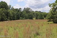Vine Drive, Brandon, MS 39047