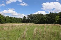 Vine Drive, Brandon, MS 39047